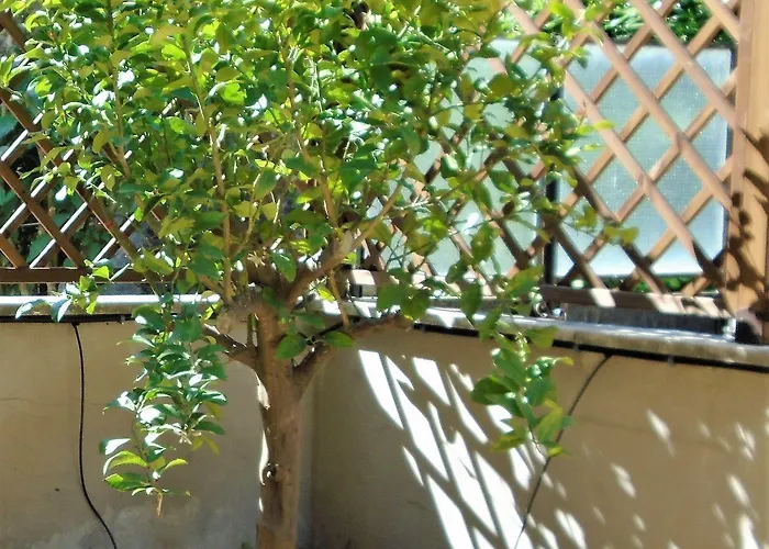 La Tana Di Sofia בית הארחה רומא